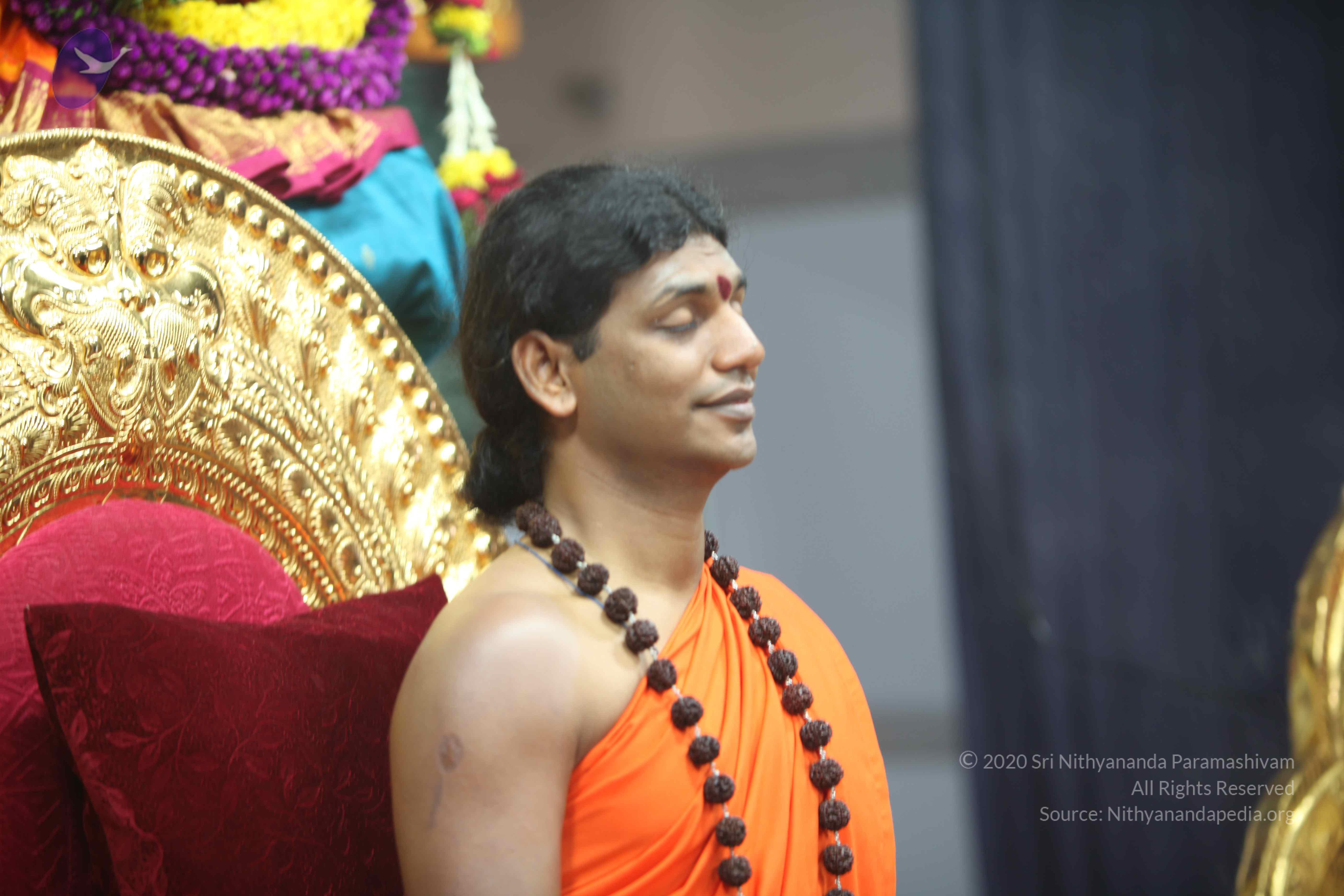 20101119_Photo_1118_IMG_8945 - Copy_CMP_WM